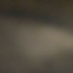 Large maternity lot of 6